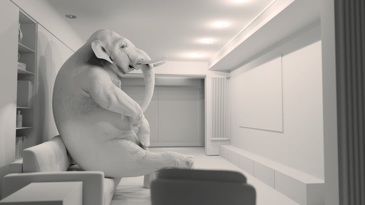 About the elephant in your room - team hygiene - five dysfunctions of a team