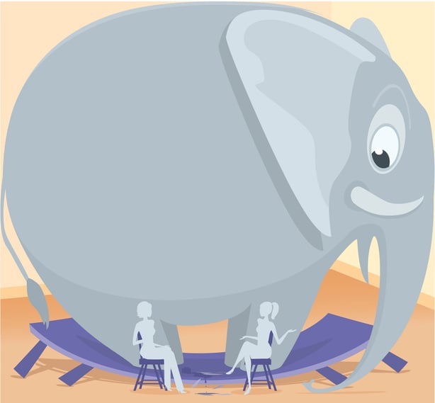 Large elephant in the room requiring productive ideological conflict