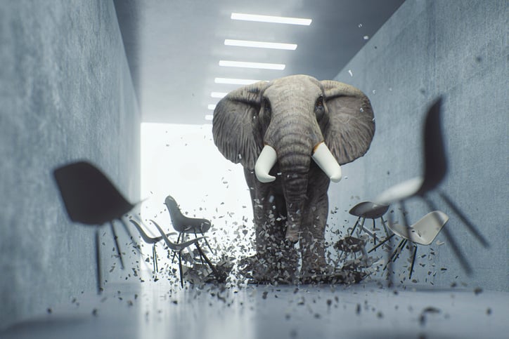 Get rid of the elephant in the room with The Five Dysfunctions of a Team